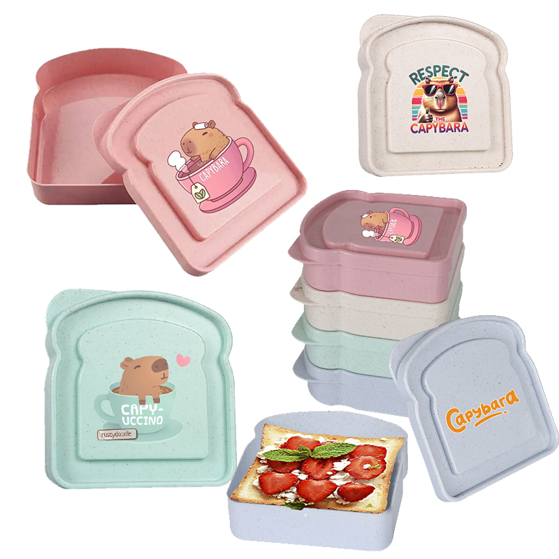 Food Storage Jars Plastic - Capybara Sandwich-Aufbewahrungsbox für Lebensmittel, Behälter für