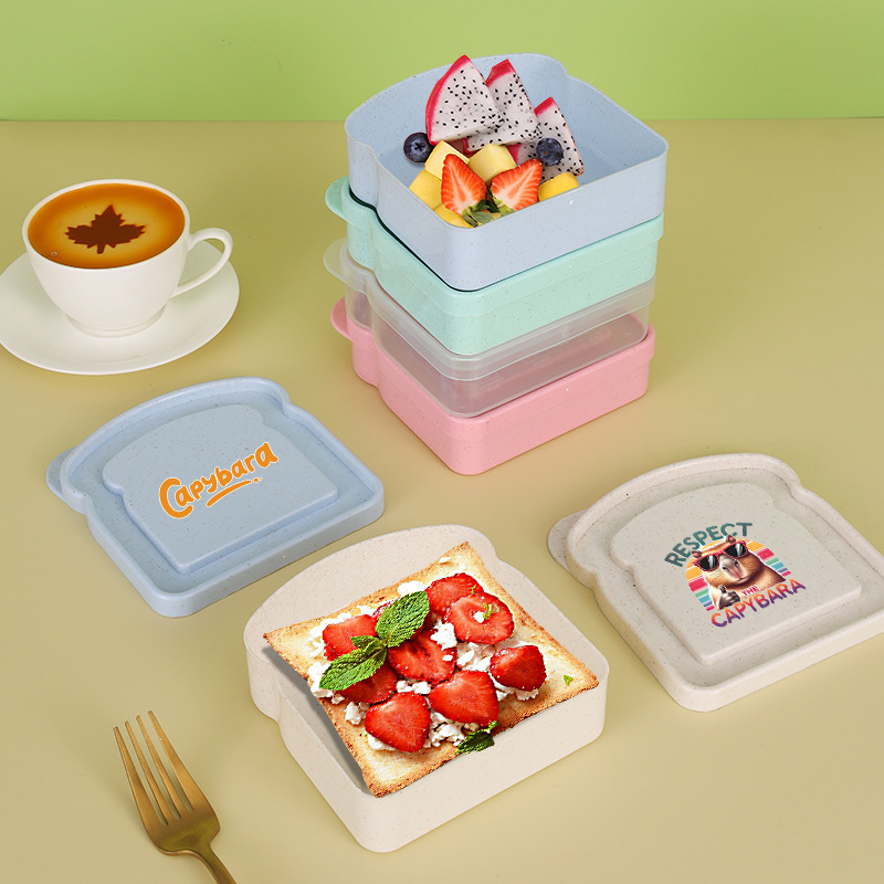 Capybara Sandwich-Aufbewahrung – Food Storage Jars Plastic Bewertung und Preis