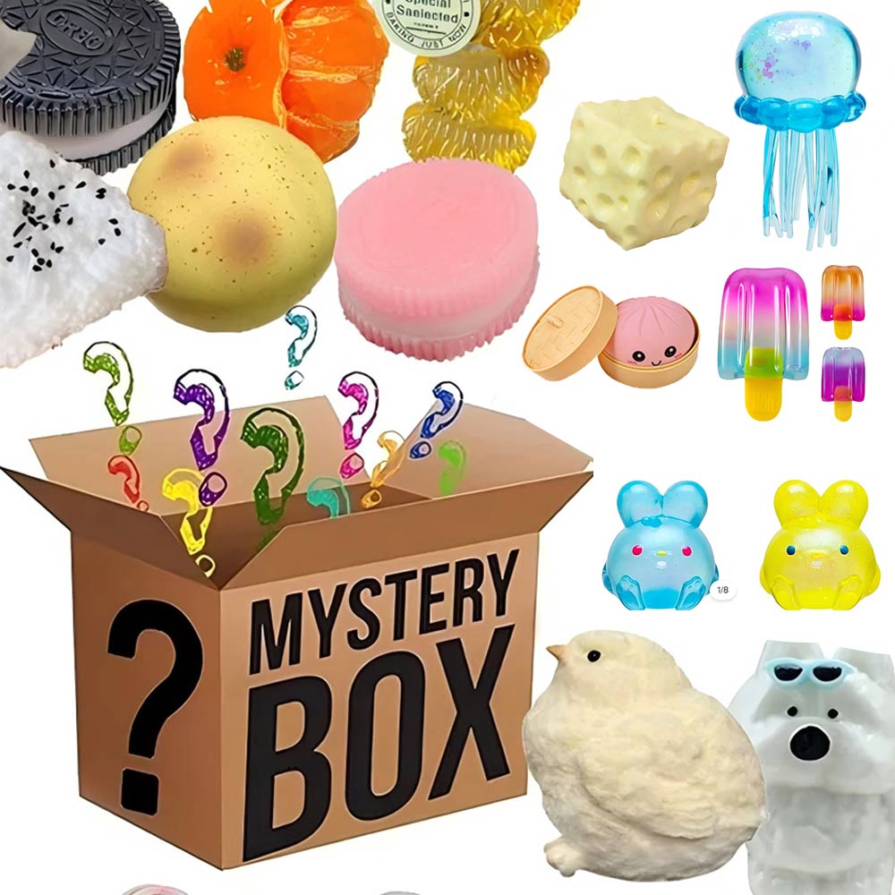 Mystery Fidget Toy Blind Box,  – Food Storage Lock Box Bewertung und Preis